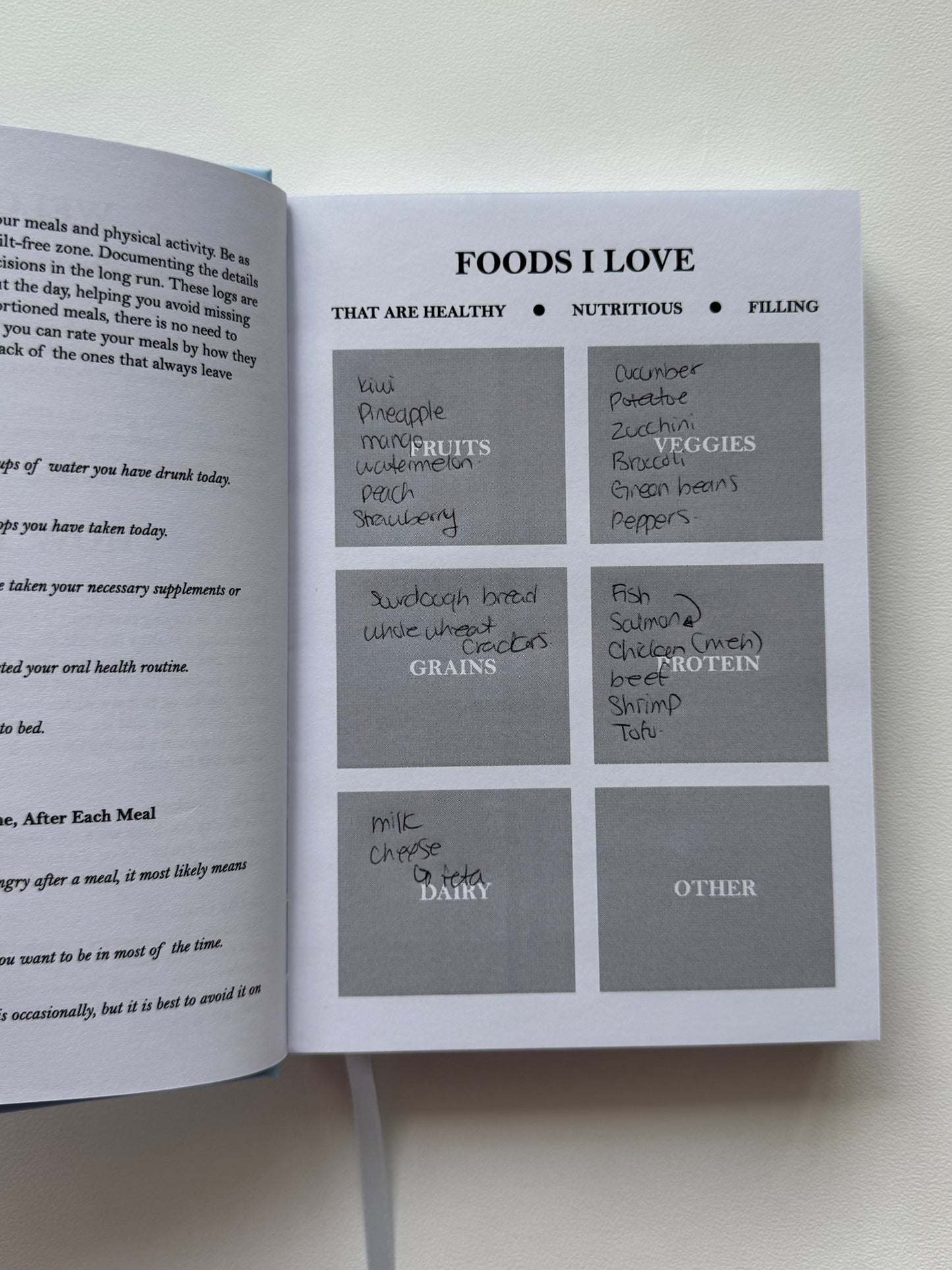Healthy Habits Journal (Physical Copy)