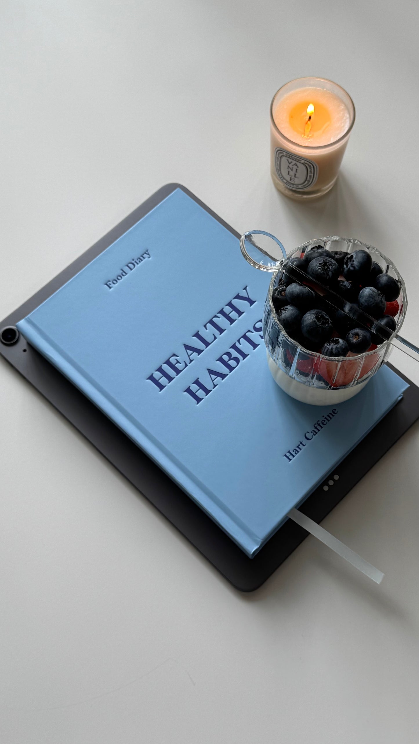 Healthy Habits Journal (Physical Copy)