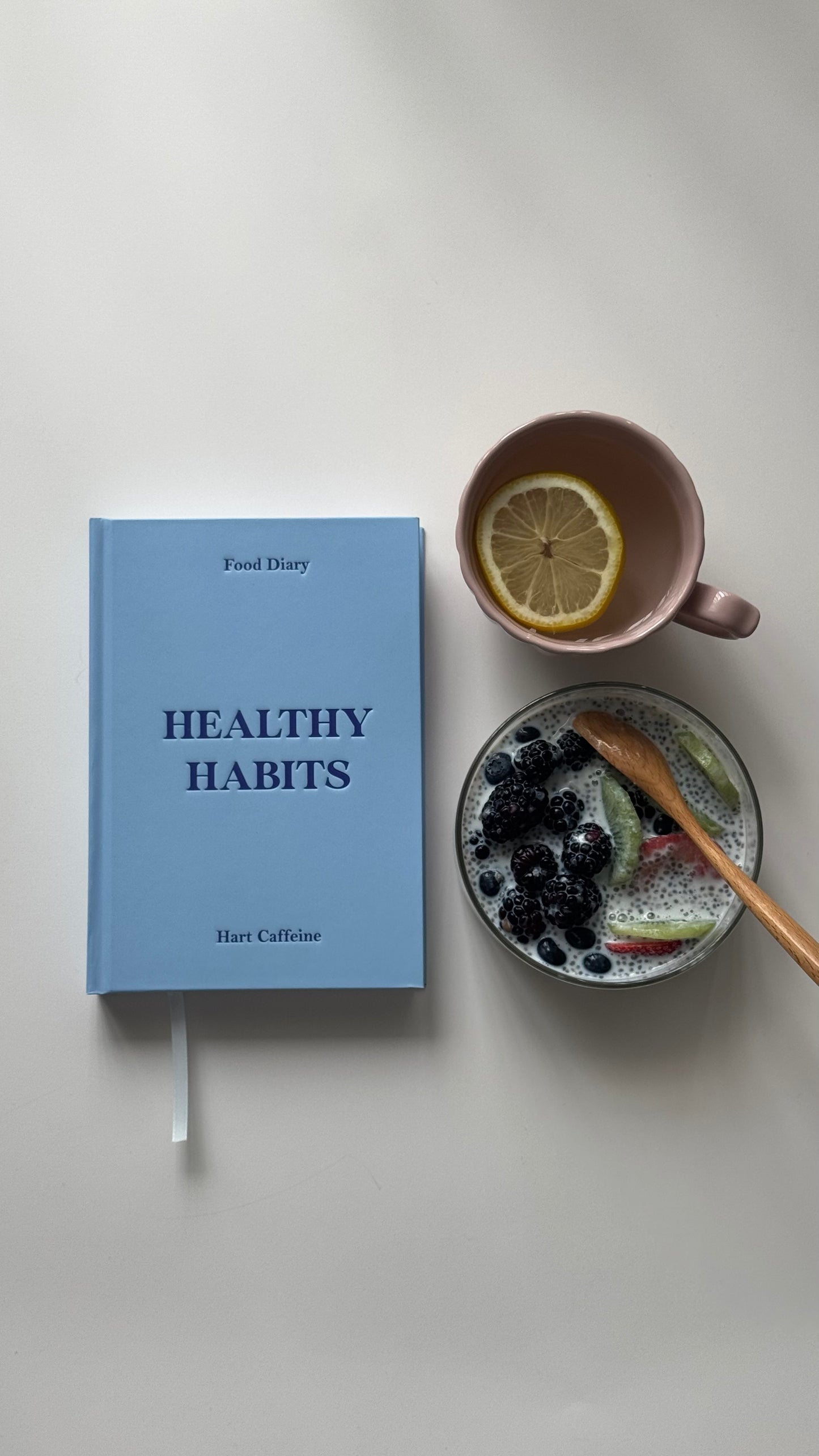 Healthy Habits Journal (Physical Copy)